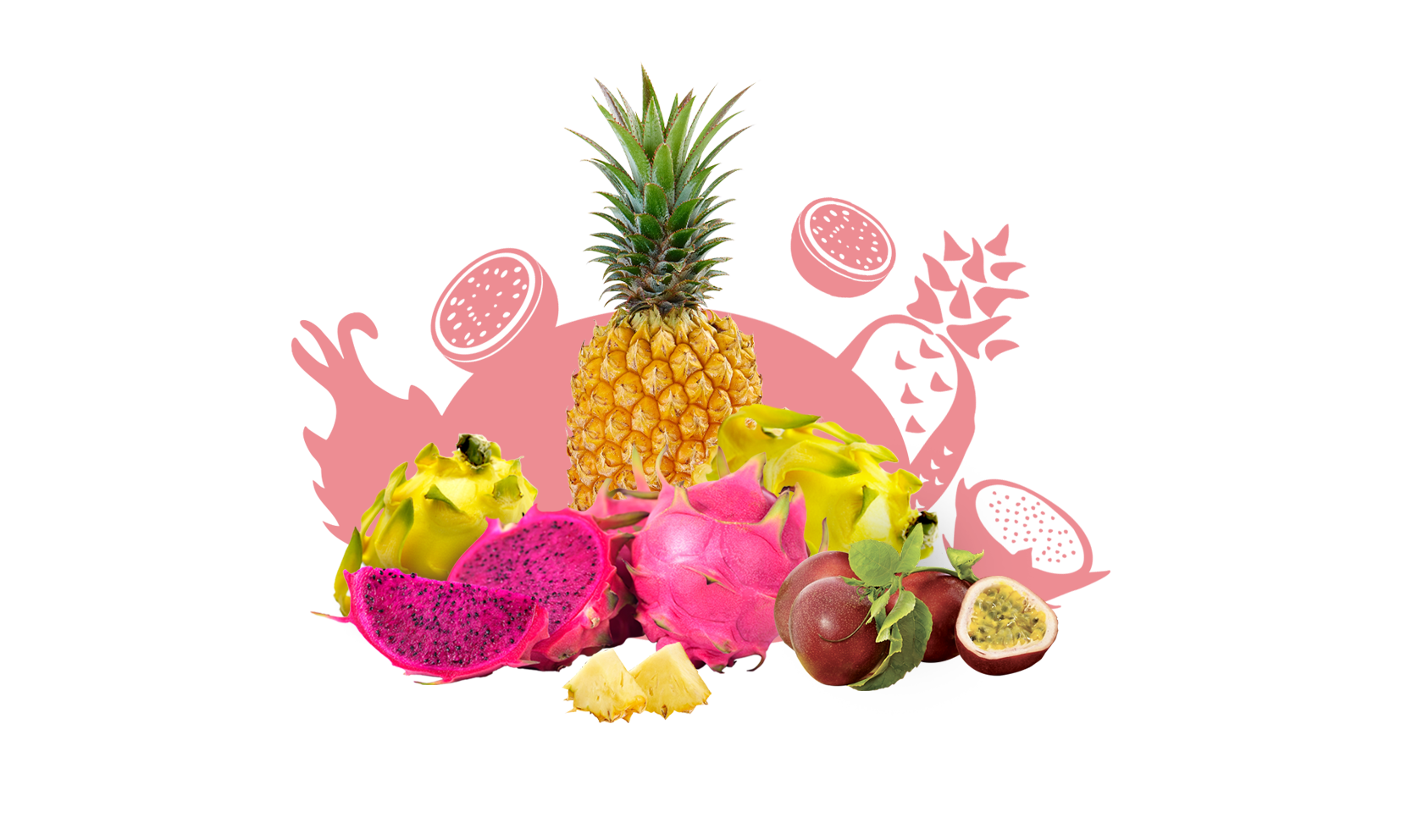 ESSENTIEL FRUIT PITAYA