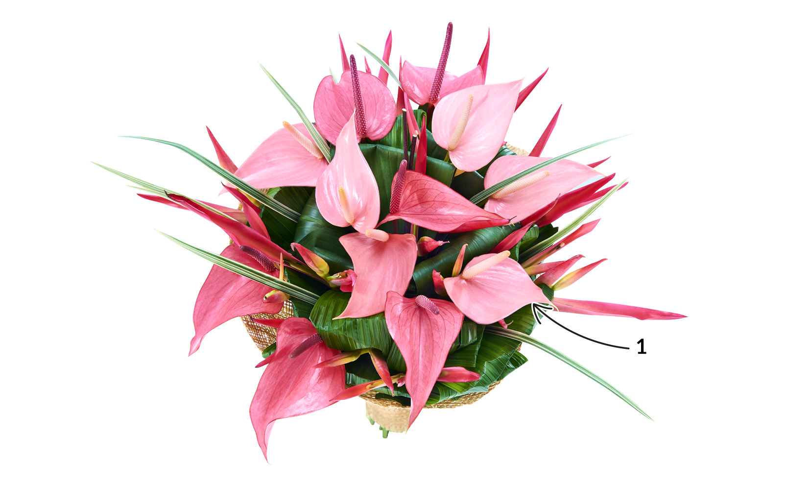 BOUQUET TENDRESSE