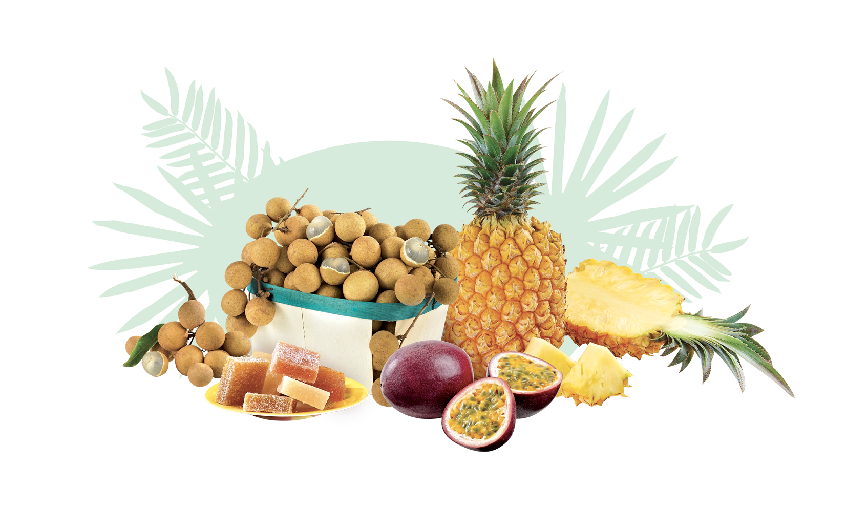 ESSENTIEL FRUITS LONGANIS