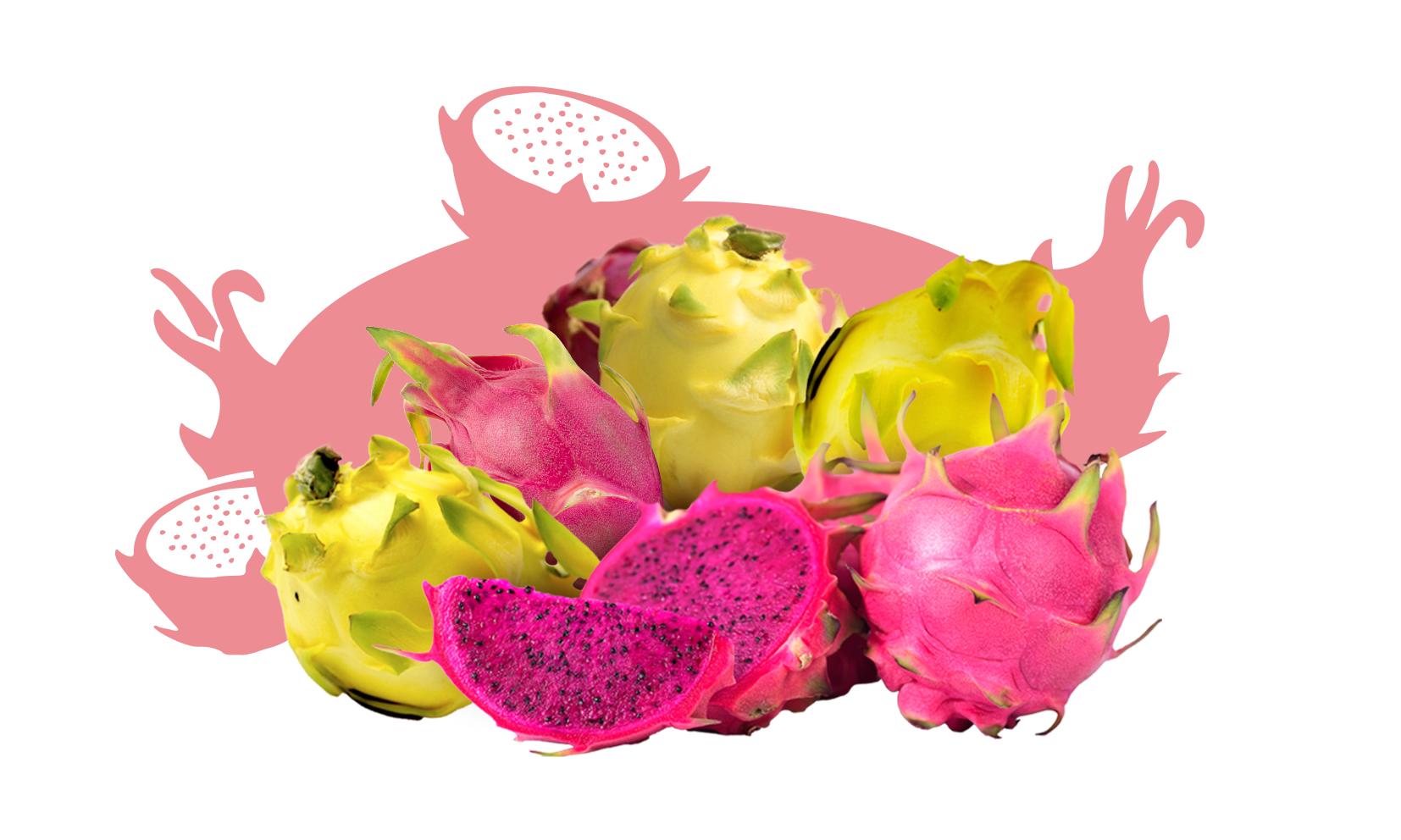 ESSENTIEL PITAYA