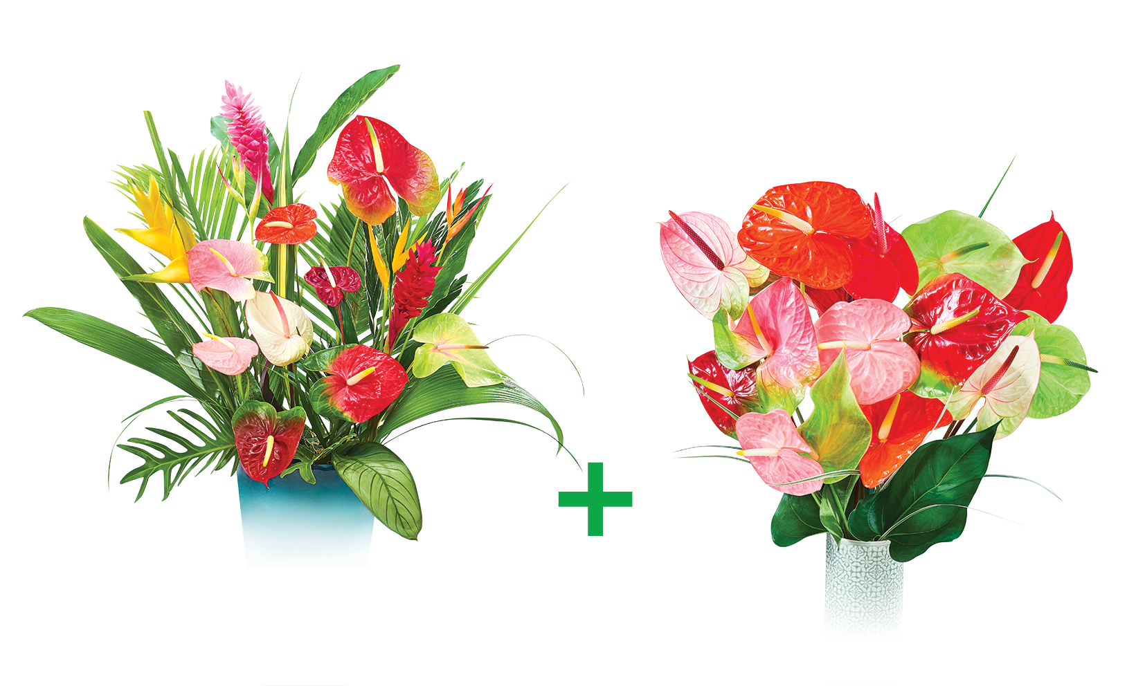 2 EN 1 FLEURI