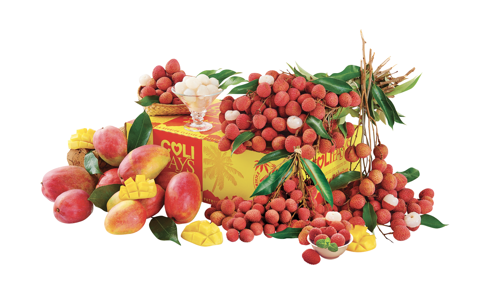 COLILETCHIS MANGUES PLUS