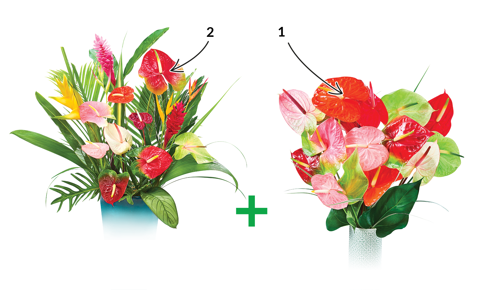 2 EN 1 FLEURI