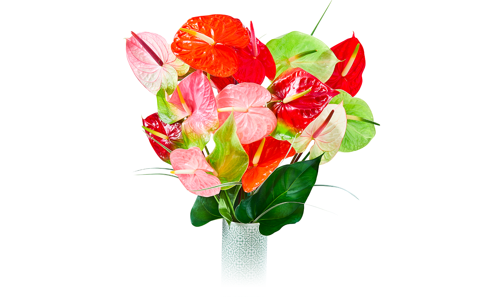 BOUQUET ANTHURIUM